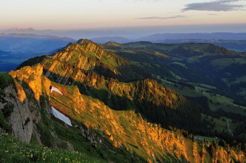 Alpin & Wellness Resort Hotel Ludwig Royal Oberstaufen Exterior photo